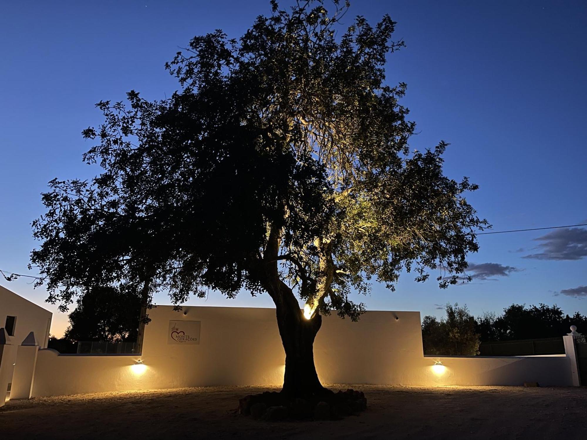 Monte Geracoes - Heated Pool - Typical Algarvian - Close To Quinta Lago, Vale Lobo And Vilamoura アルマンシル エクステリア 写真